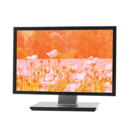 DELL 1909WB